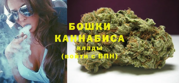 Альфа ПВП Володарск