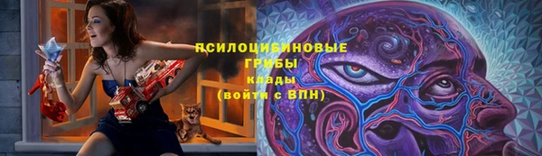 Альфа ПВП Володарск