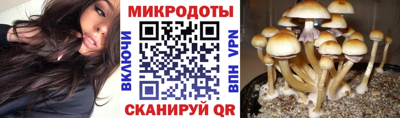 Галлюциногенные грибы прущие грибы Волхов